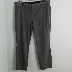Eddie Bauer Travex Gray Ankle Pants  18